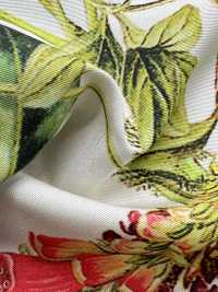 KDP7711-58-DD899 Leichtes Grosgrain-Breitband-Tintenstrahldruck[Textilgewebe] Uni Textile(Komon Studio) Unterfoto