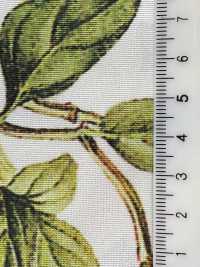 KDP7711-58-DD899 Leichtes Grosgrain-Breitband-Tintenstrahldruck[Textilgewebe] Uni Textile(Komon Studio) Unterfoto