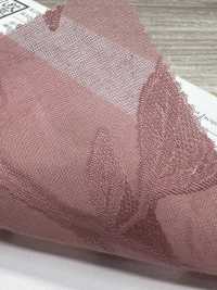 KKC500-D1 Baumwolle 50 Schnitt Jacquardgefärbt[Textilgewebe] Uni Textile(Komon Studio) Unterfoto