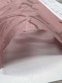 KKC500-D1 Baumwolle 50 Schnitt Jacquardgefärbt[Textilgewebe] Uni Textile(Komon Studio) Unterfoto