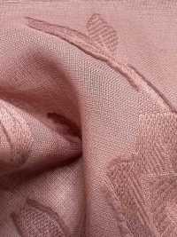 KKC500-D1 Baumwolle 50 Schnitt Jacquardgefärbt[Textilgewebe] Uni Textile(Komon Studio) Unterfoto