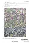28105 60er Batist mit kleinem Blumenprint