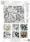 KKP1400-58-DSB-151 Feminish Dechine, Breitware