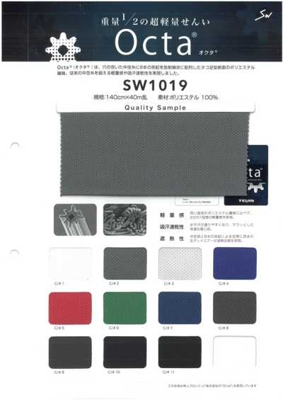 SW1019 Octa-Punktmesh