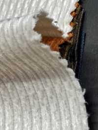 5-CRCOR-M Baumwollcord Ohne Muster, Einfarbiger Jersey[Textilgewebe] HOKKOH Sub-Foto