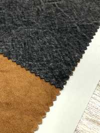 SK-1600 Nr. 10 Leinwand[Textilgewebe] KOYAMA Unterfoto