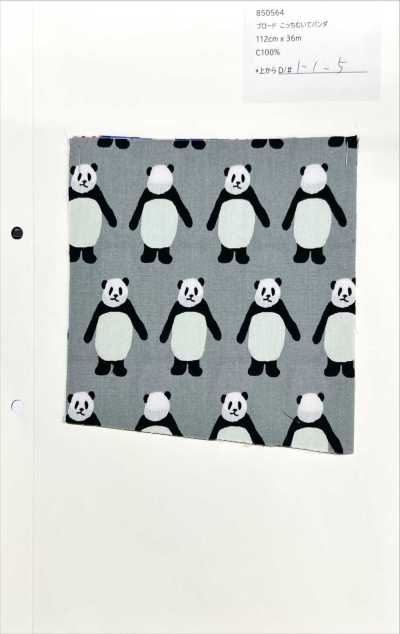 850564 Popeline <Look This Way Panda>