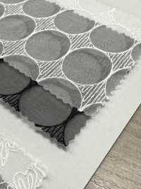 SLC8567 SLC 8567 (Kreis) Seidenorganza-Spitze[Textilgewebe] KOYAMA Sub-Foto