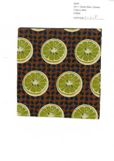 4249 SEVENBERRY® Popeline Stylish Relax / Orange