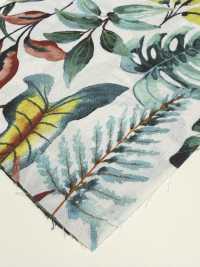 4251 SEVENBERRY® Broadcloth Stilvolle Entspannung/Urlaub[Textilgewebe] VANCET Sub-Foto