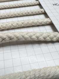 HC-1005 Baumwoll-8-Stich-Spindel L[Bandbandschnur] Kein Name Sub-Foto