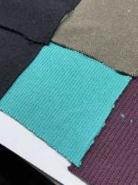 TS65 Rippstrick T/C 3 Gummibandbänder 2 Gummibandbänder 1 Gummiband 2 X 1 60cm Breit[Rippenstrick] TAKENAKA CORPORATION Sub-Foto