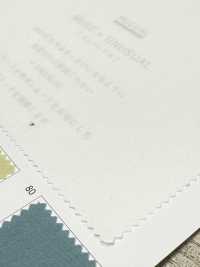 BD4595 Starke Daunendichte Banshu Vintage-Wäsche[Textilgewebe] COSMO TEXTILE Sub-Foto