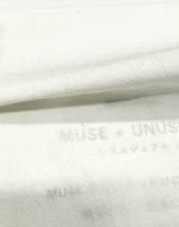 BD4595 Starke Daunendichte Banshu Vintage-Wäsche[Textilgewebe] COSMO TEXTILE Sub-Foto