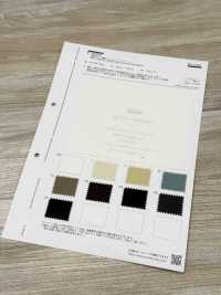 BD4595 Starke Daunendichte Banshu Vintage-Wäsche[Textilgewebe] COSMO TEXTILE Sub-Foto