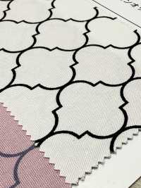 SP5500-DR Marokkanisches Oxford (Halb Gefaltet)[Textilgewebe] COSMO TEXTILE Sub-Foto