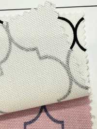 SP5500-DR Marokkanisches Oxford (Halb Gefaltet)[Textilgewebe] COSMO TEXTILE Sub-Foto