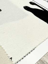 AP52101-DR Kuroneko Oxford (Halbfalte)[Textilgewebe] COSMO TEXTILE Sub-Foto