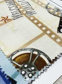 AP55201 Cinefabric Oxford (Rundrolle)[Textilgewebe] COSMO TEXTILE Sub-Foto