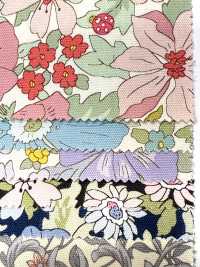 AP55808-DR Essential Grace 2 Oxford (Halb Gefaltet)[Textilgewebe] COSMO TEXTILE Sub-Foto