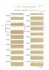 HW-3041 Nylon-Doppelrüschen-Stretchband