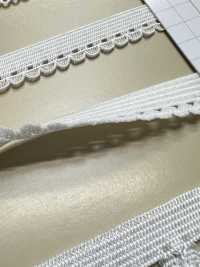 HW-3051 Stretchband (Eine Seite)[Bandbandschnur] Kein Name Sub-Foto