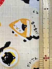 AP55109 Japanischer Story Dobby (Rundrolle)[Textilgewebe] COSMO TEXTILE Sub-Foto