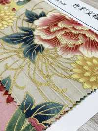 AP55901-DR Satin-Slub Mit Buntem Muster (Halb Gefaltet)[Textilgewebe] COSMO TEXTILE Sub-Foto