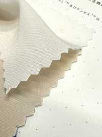 1830 Poly-Tencel™ Modalfaser-Breitgewebe[Textilgewebe] Kuwamura Textil Sub-Foto