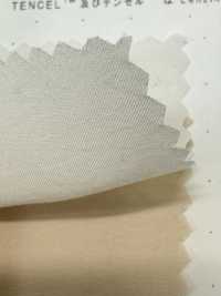 1830 Poly-Tencel™ Modalfaser-Breitgewebe[Textilgewebe] Kuwamura Textil Sub-Foto
