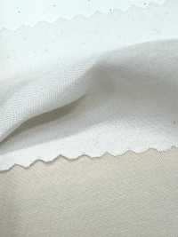 1830 Poly-Tencel™ Modalfaser-Breitgewebe[Textilgewebe] Kuwamura Textil Sub-Foto
