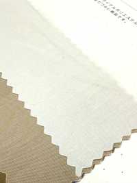 SBT-003 Bio ECO Ohne Muster[Textilgewebe] Kuwamura Textil Sub-Foto