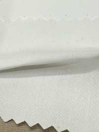 SBT-003 Bio ECO Ohne Muster[Textilgewebe] Kuwamura Textil Sub-Foto