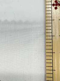 SBT-003 Bio ECO Ohne Muster[Textilgewebe] Kuwamura Textil Sub-Foto