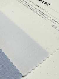 2190 80/2 End-on-End Tamamushi Chambray[Textilgewebe] Kuwamura Textil Sub-Foto