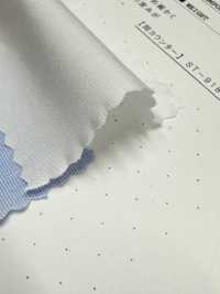 2190 80/2 End-on-End Tamamushi Chambray[Textilgewebe] Kuwamura Textil Sub-Foto