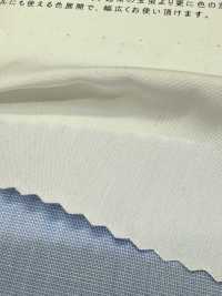 2190 80/2 End-on-End Tamamushi Chambray[Textilgewebe] Kuwamura Textil Sub-Foto