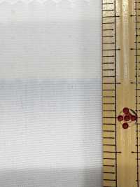 2190 80/2 End-on-End Tamamushi Chambray[Textilgewebe] Kuwamura Textil Sub-Foto