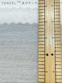 1860 Nylon/Tencel™ Lyocell Faser-Rasen[Textilgewebe] Kuwamura Textil Sub-Foto