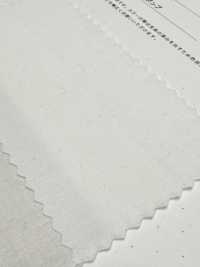 2030 40/1 Leinen-Daunendicht[Textilgewebe] Kuwamura Textil Sub-Foto