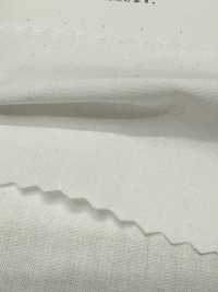 2030 40/1 Leinen-Daunendicht[Textilgewebe] Kuwamura Textil Sub-Foto