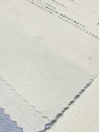 2050 Oxford Chambray[Textilgewebe] Kuwamura Textil Sub-Foto