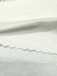2050 Oxford Chambray[Textilgewebe] Kuwamura Textil Sub-Foto