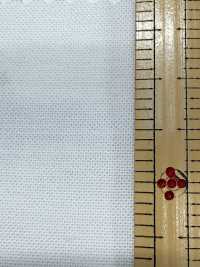 2050 Oxford Chambray[Textilgewebe] Kuwamura Textil Sub-Foto