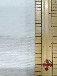 2110 Hochzähliger Rundstrick-Interlock-Twill[Textilgewebe] Kuwamura Textil Sub-Foto