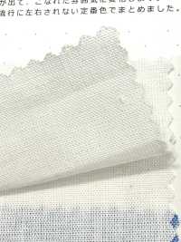 1200 20/1 Latzhose[Textilgewebe] Kuwamura Textil Sub-Foto