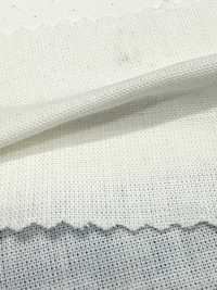 1200 20/1 Latzhose[Textilgewebe] Kuwamura Textil Sub-Foto