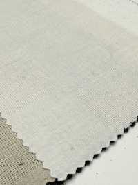 CHL-6341 Leinen Panama Block Check[Textilgewebe] Kuwamura Textil Sub-Foto