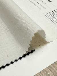 CHL-6341 Leinen Panama Block Check[Textilgewebe] Kuwamura Textil Sub-Foto