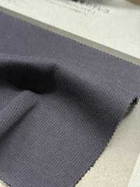 1076519TE Schweres TERECO Rippengewebe Aus Fleece[Textilgewebe] TAKISADA NAGOYA Sub-Foto